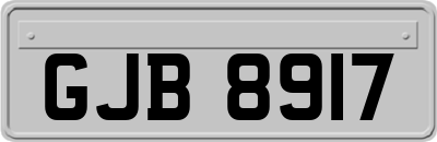 GJB8917