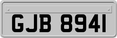GJB8941