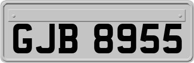 GJB8955
