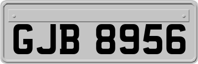 GJB8956