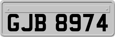 GJB8974