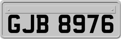 GJB8976
