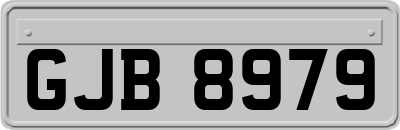 GJB8979