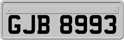 GJB8993