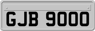 GJB9000