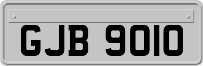 GJB9010