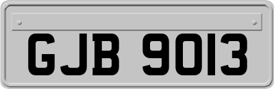GJB9013