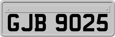 GJB9025