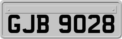 GJB9028