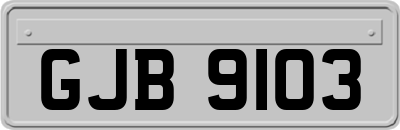GJB9103