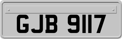 GJB9117