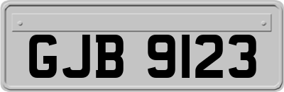 GJB9123