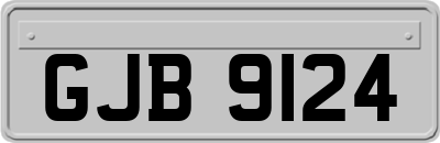GJB9124