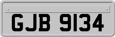 GJB9134