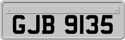 GJB9135