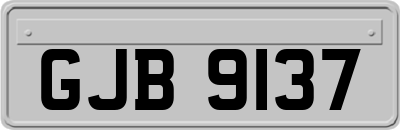 GJB9137