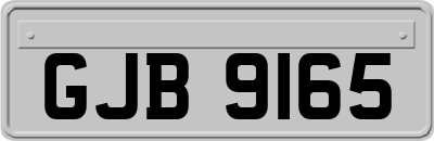 GJB9165