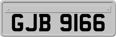 GJB9166