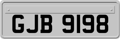 GJB9198