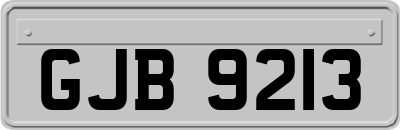 GJB9213