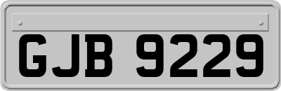 GJB9229