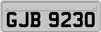 GJB9230