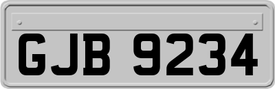 GJB9234
