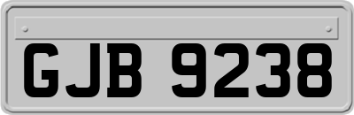 GJB9238