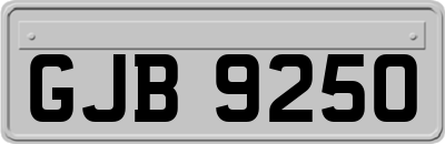 GJB9250