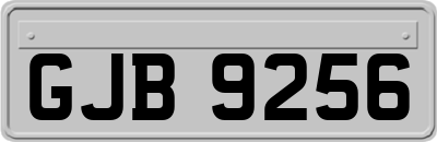 GJB9256