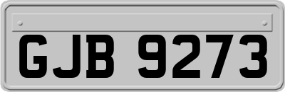 GJB9273