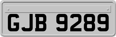 GJB9289