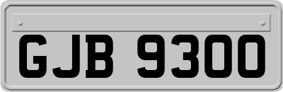 GJB9300