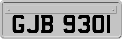 GJB9301