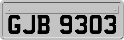 GJB9303