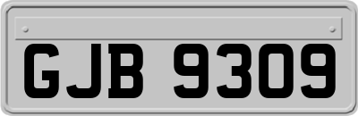 GJB9309