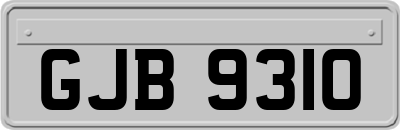 GJB9310