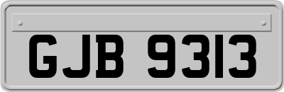 GJB9313