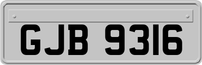 GJB9316