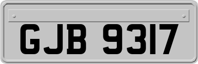 GJB9317