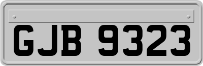 GJB9323