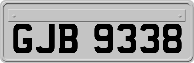 GJB9338