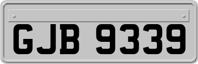 GJB9339