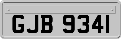 GJB9341