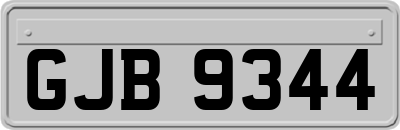 GJB9344