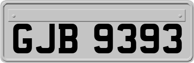GJB9393