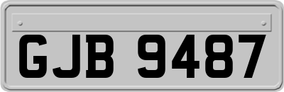 GJB9487