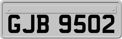 GJB9502