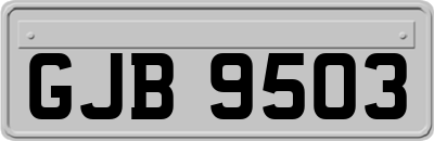 GJB9503