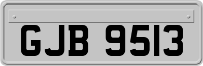 GJB9513